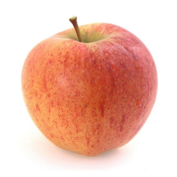 O'Halloran Hill Fruit Mart Shop